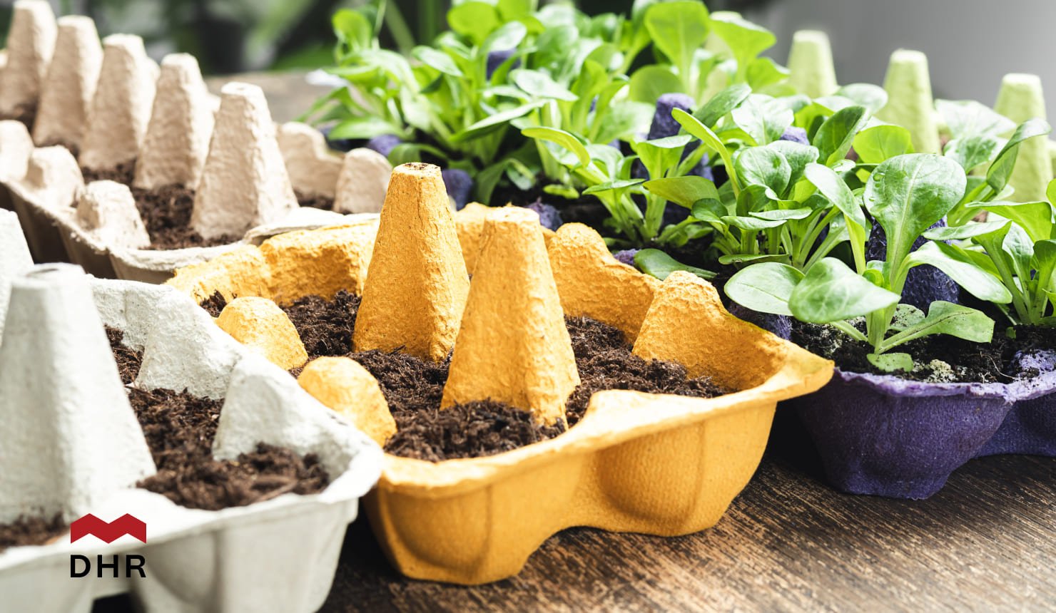 Repurposing Old Items